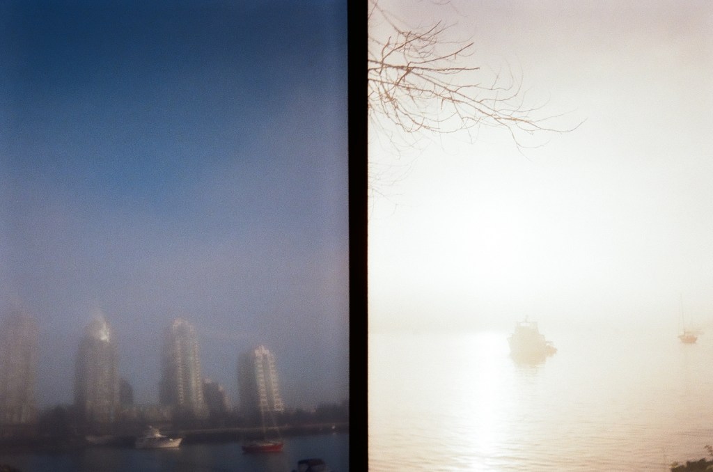 Untitled post 6019