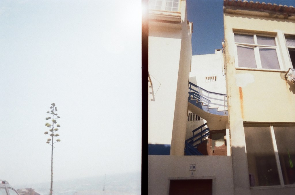 Untitled post 6051